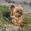 Lisen801's Avatar