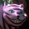 sundance93's Avatar